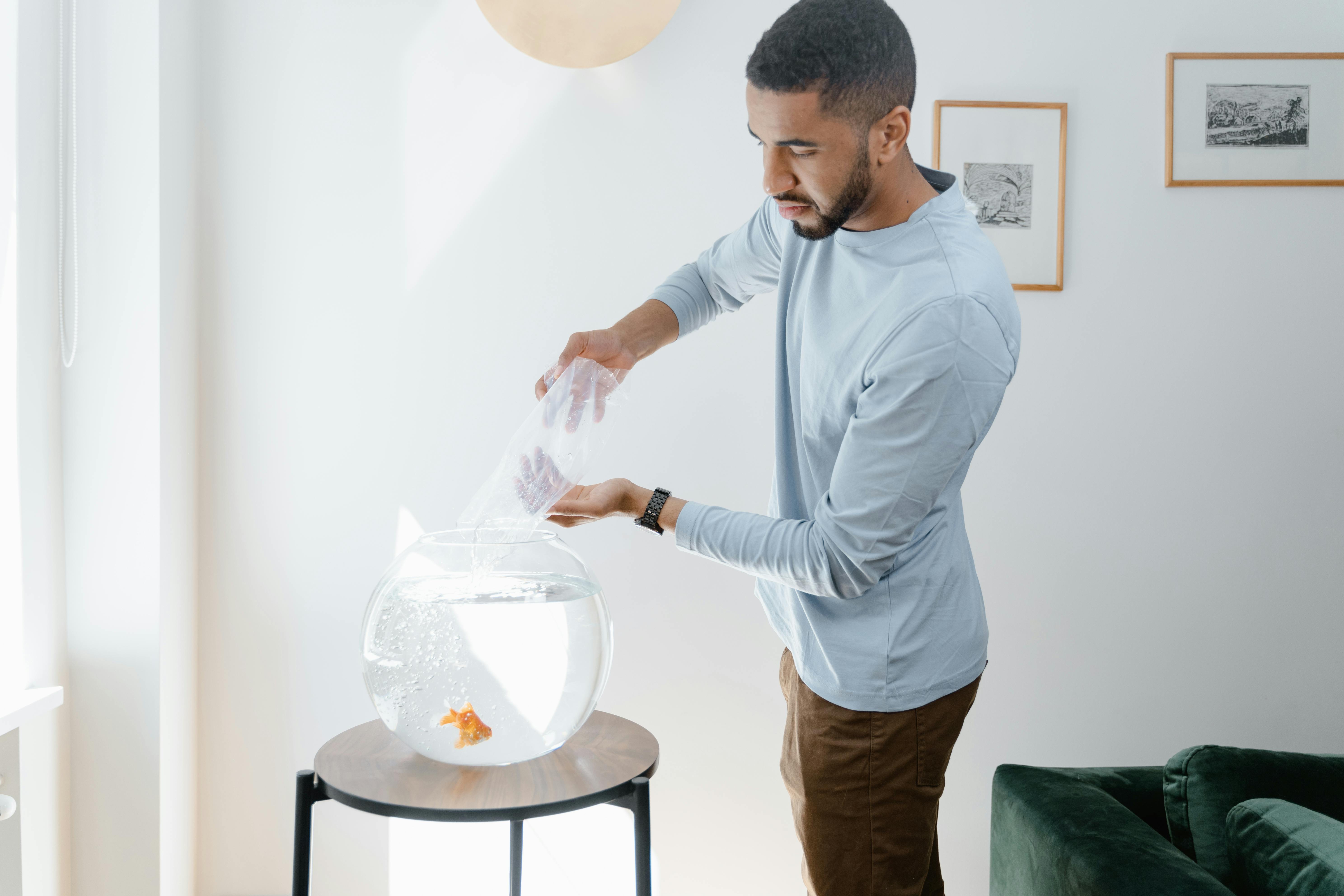 Thirsty Hamster Insights