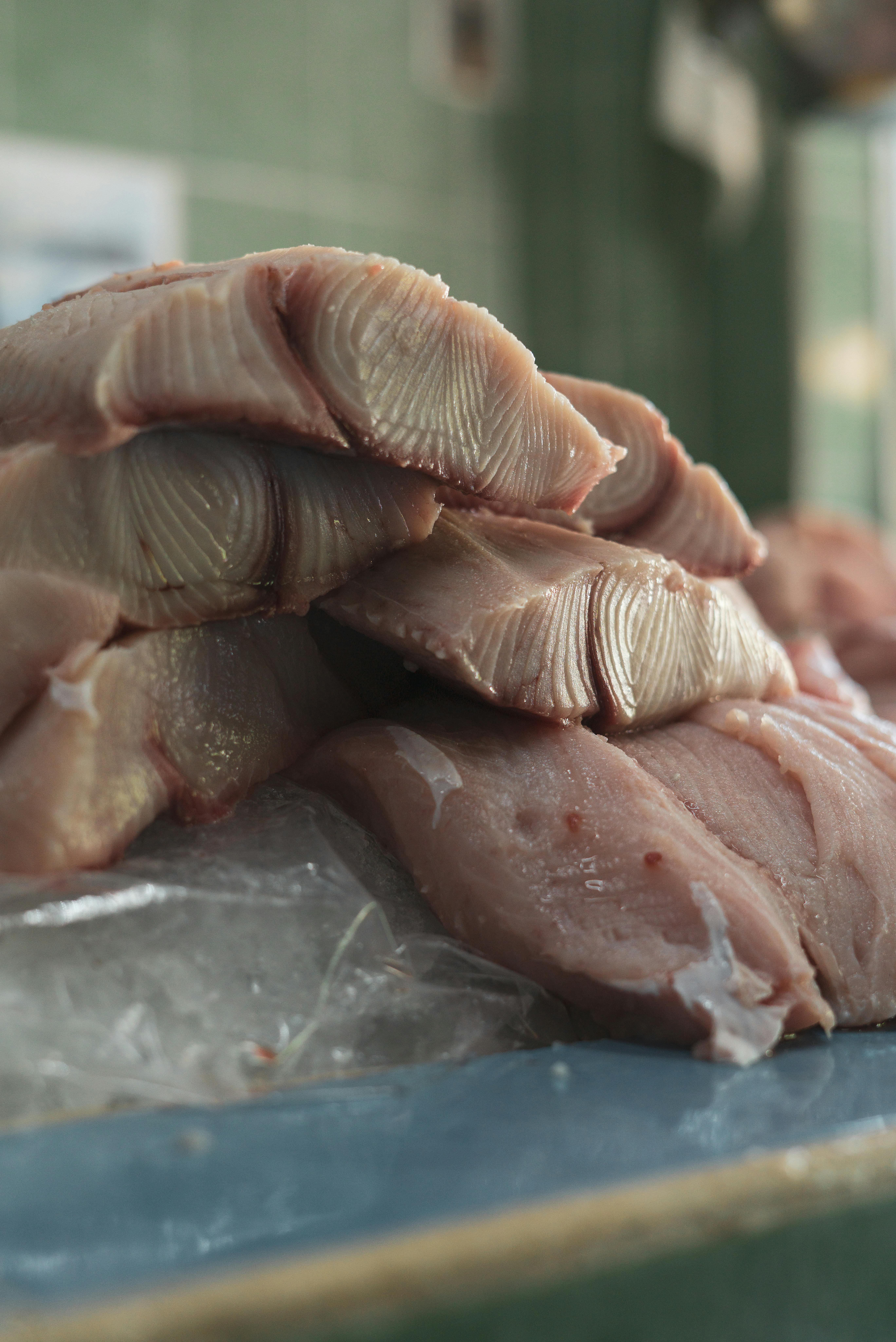 Best 5 Fish to Consider in 2025 for Beginners: Discover Affordable Options