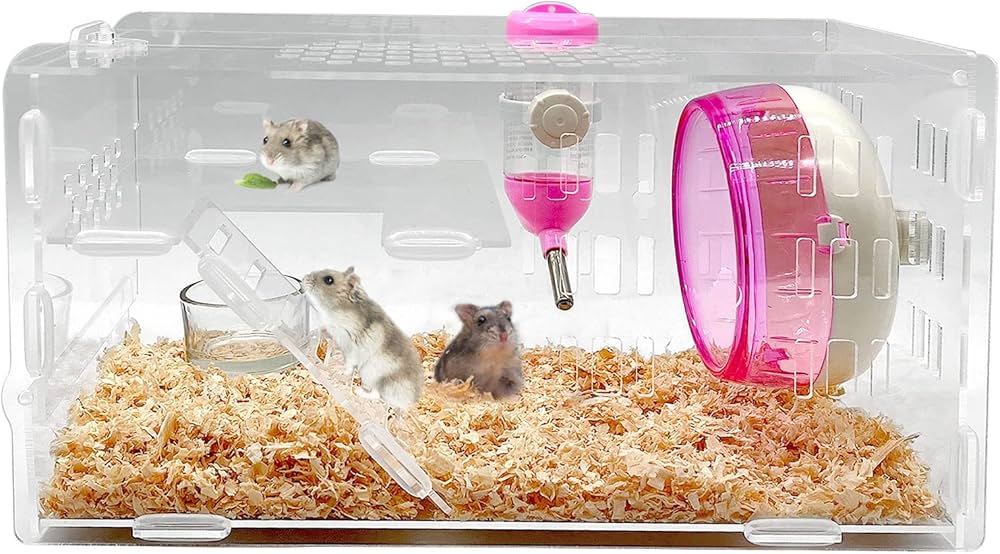 Best Dwarf Hamster Cage