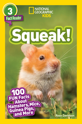 Fun Facts About Hamsters