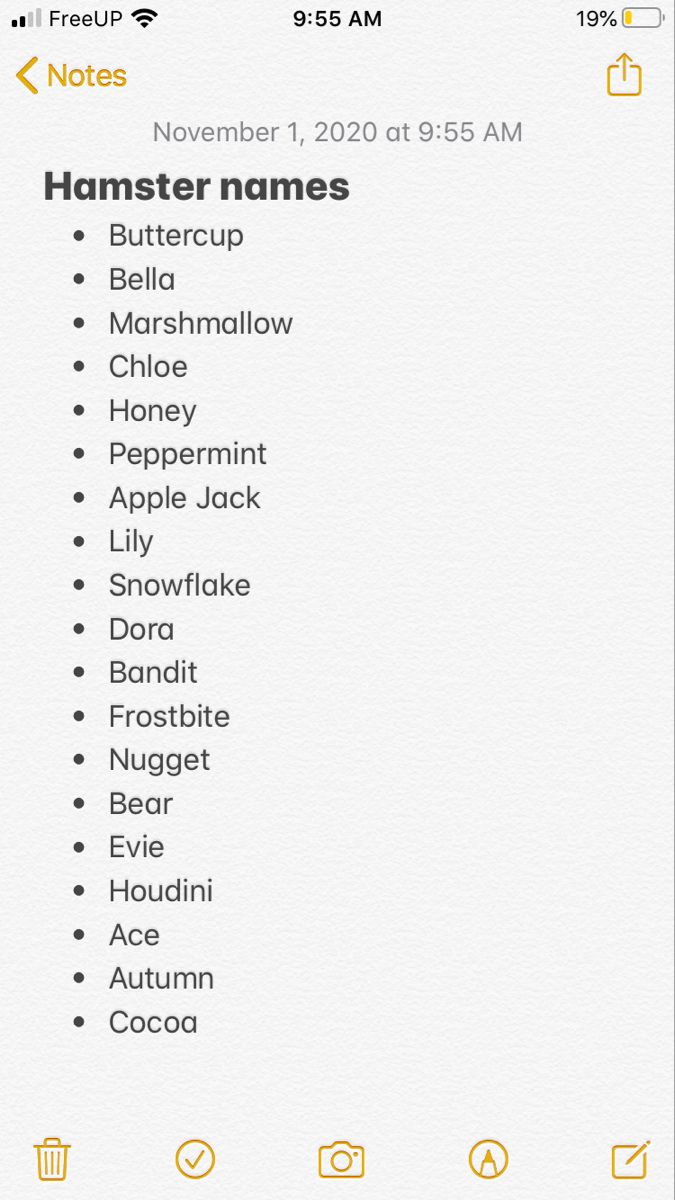 Boy Hamster Names